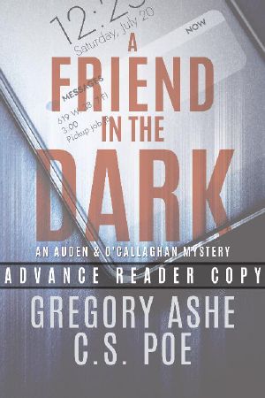 [An Auden & O'Callaghan Mystery 01] • A Friend in the Dark